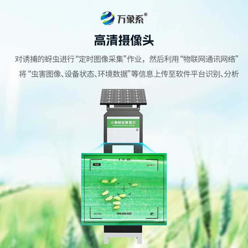小麥蚜蟲在線監(jiān)測系統(tǒng)